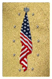 DF35T 421 SH GD Flag at Rest Shimmer Gold